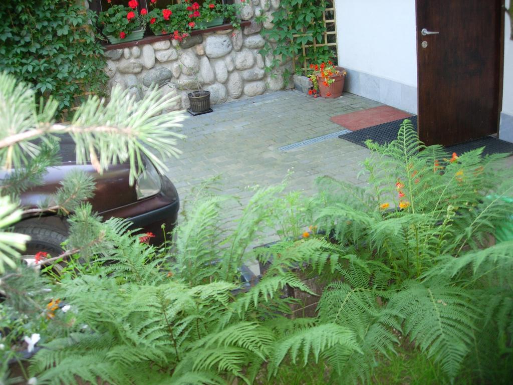 Pokoje Goscinne Koscielisko Az Somatic Εξωτερικό φωτογραφία